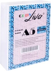 Copy Liva A5 80 gr 1000 Yaprak 2'li Paket Fotokopi Kağıdı ürün görseli