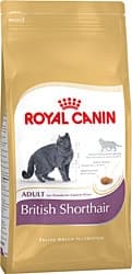 Royal Canin British Shorthair 4 kg Yetişkin Kedi Maması ürün görseli