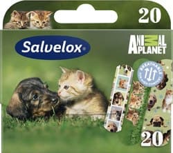 Salvelox Animal Planet 20'li Yara Bandı ürün görseli