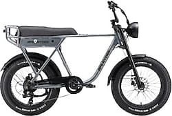 Ape Ryder A10 250 W 2 Kişilik Elektrikli Bisiklet ürün görseli