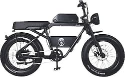 Ape Ryder Bonobo 250 W Siyah İki Kişilik Elektrikli Bisiklet ürün görseli