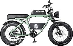 Ape Ryder Bonobo 250 W Yeşil İki Kişilik Elektrikli Bisiklet ürün görseli