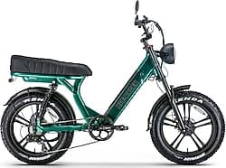 Ape Ryder MD10 Premium 750 W Elektrikli Bisiklet ürün görseli