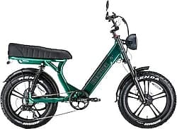 Ape Ryder MD10 250 W Yeşil İki Kişilik Elektrikli Bisiklet ürün görseli