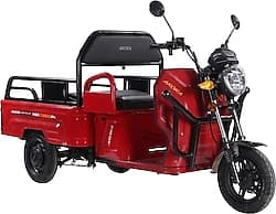 Arora Mini Kargo 1000 W 3 Tekerlekli Elektrikli Motosiklet ürün görseli