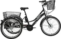 Bisan E-Porter 250 W 3 Tekerlekli Elektrikli Bisiklet ürün görseli