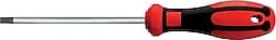 Ceta Form F18-007-060 C-Plus Torx Uçlu Tornavida ürün görseli