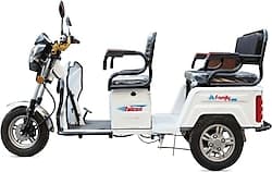 Falcon Family 8000 1000 W 3 Tekerlekli Elektrikli Motosiklet ürün görseli