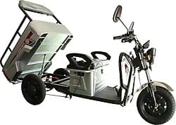 JGR Motor Cargo Run 1600 W 3 Tekerlekli Elektrikli Motosiklet ürün görseli