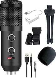 Lastvoice BM300 Profesyonel Mikrofon ürün görseli