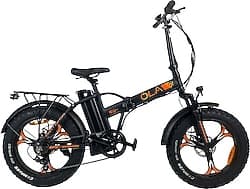 Ola Electrofold EFB5 250 W Katlanabilir Elektrikli Bisiklet ürün görseli