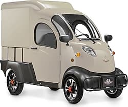 Regal Raptor K5 Van 3000 W Elektrikli Araba ürün görseli