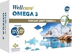 Wellcare Omega 3 1200 mg 30 Kapsül ürün görseli