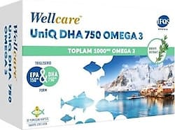 Wellcare UniQ DHA 750 Omega 3 30 Kapsül ürün görseli
