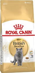 Royal Canin British Shorthair 10 kg Yetişkin Kedi Maması ürün görseli