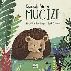 Küçük Bir Mucize - Bilge Nur Pembegül ürün görseli