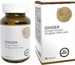 Anti Ginger Extract Zencefil Ekstresi 60 Kapsül ürün görseli