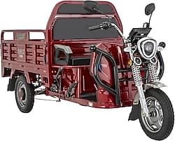 E-Mon Tigray 1200 W 3 Tekerlekli Elektrikli Motosiklet ürün görseli