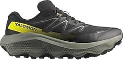 Salomon Ultra Flow 2 Gore-Tex Erkek Koşu Ayakkabısı ürün görseli