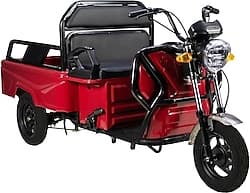 Apec APT4 1000 W 3 Tekerlekli Elektrikli Motosiklet ürün görseli